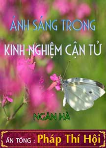 Ánh Sáng Trong Kinh Nghiệm Cận Tử cover