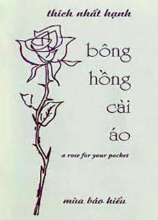 Bông Hồng Cài Áo cover