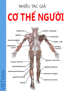 Cơ Thể Người cover