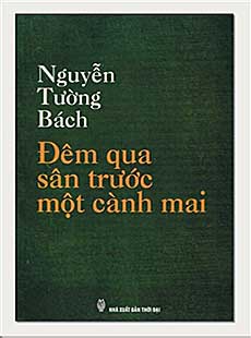 Đêm qua sân trước một cành mai cover